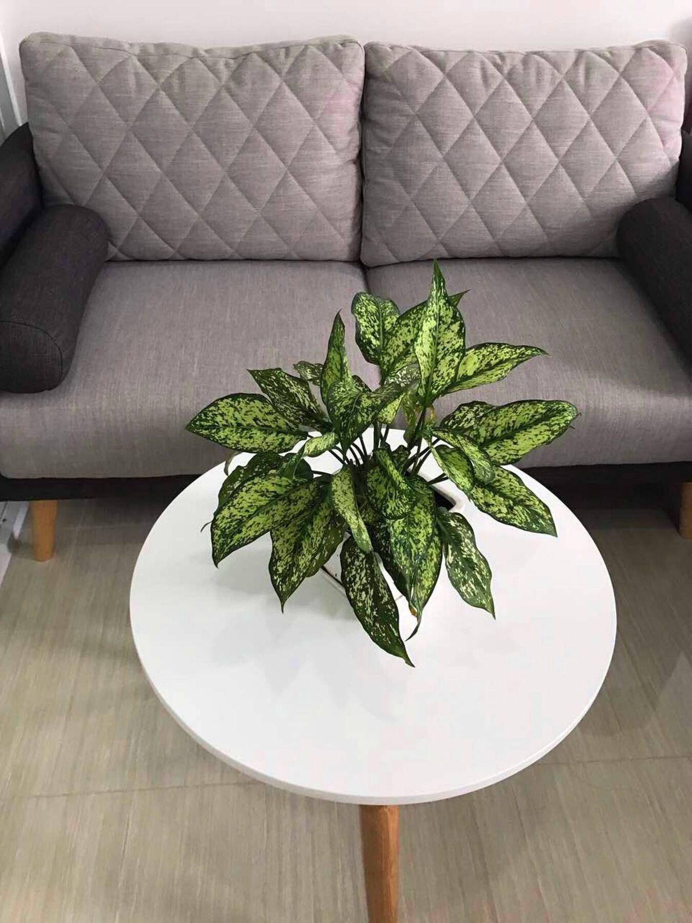 Smile Apartment 10 胡志明市 外观 照片